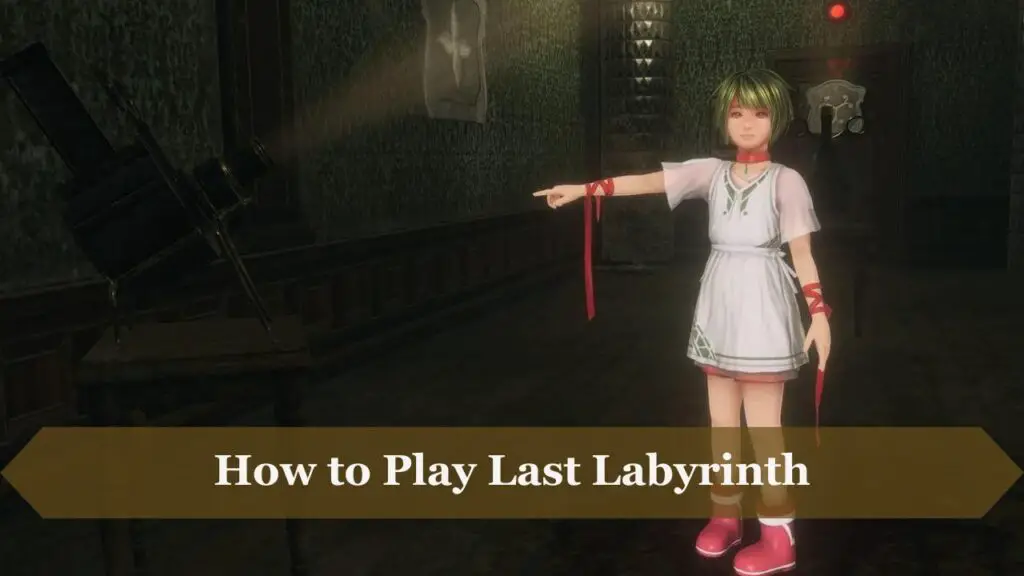 How to Play Last Labyrinth